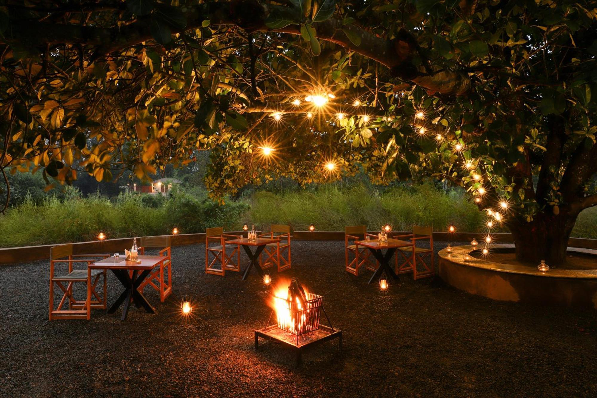Lemon Tree Wildlife Resort, Kānha מראה חיצוני תמונה